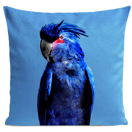 PUNKY PARROT - BRIGHT BLUE
