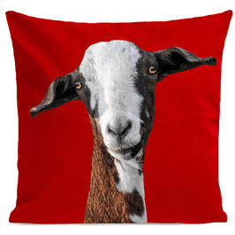 FUNNY GOAT - RED
