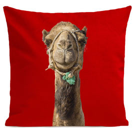 Smiling Camel - RED