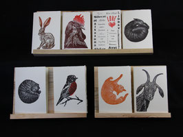 Set of Eight Cards