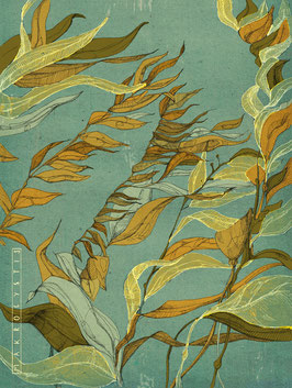 Sea Leaf Illustration