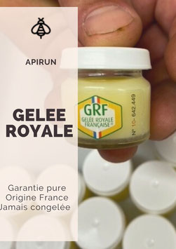 GELEE ROYALE FRANCAISE + 5 STICKS DE MIEL