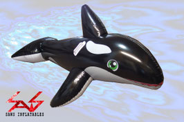Smile Orca