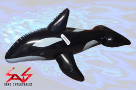 schmaler glänzender Orca