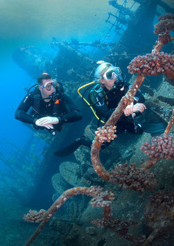 PADI Wreck Diver (Nur Theorie)
