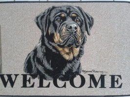 Fußmatte Indoor