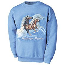 Sweatshirt Bötzelmotiv
