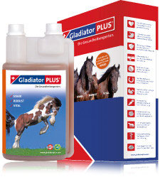 Gladiator Plus