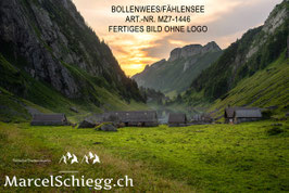 Leinwandbild-Bollenwees/Fählensee Art.-Nr. MZ7-1446
