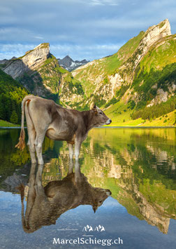 PK-Seealpsee-MS5-4328