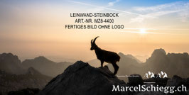 Leinwandbild-Steinbock Art.-Nr. MZ8-4400