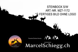 Leinwandbild-Steinbock S/W Art.-Nr. MZ7-1172