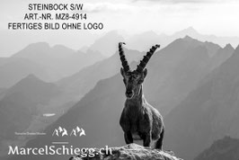 Alu-Dibond-FineArt-Steinbock S/W Art.-Nr. MZ8-4914