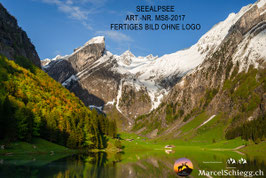 Leinwandbild-Seealpsee Art.-Nr. MS8-2017