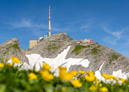 PK-Säntis/Alter Säntis-MZ7-1426