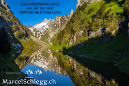 Leinwandbild-Bollenwees/Fählensee Art.-Nr. MZ7-9932