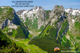 Alu-Dibond-FineArt-Bollenwees/Fählensee Art.-Nr. MZ7-8447