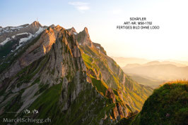 Leinwandbild-Schäfler Art.-Nr. MS8-1782