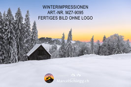 Leinwandbild-Winterimpressionen Art.-Nr. MZ7-9095