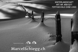Alu-Dibond-FineArt-Winterlandschaft S/W Art.-Nr. MS8-5277