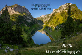 Bollenwees/Fählensee Art.-Nr. MZ7-1281