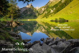 Poster/FineArt Print-Seealpsee Art.-Nr. MZ8-6487
