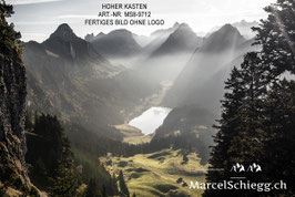 Leinwandbild-Hoher Kasten Art.-Nr. MS8-9712