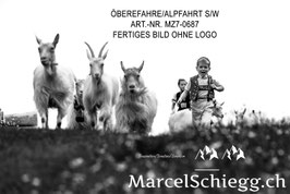 Leinwandbild-Öberefahre/Alpfahrt S/W Art.-Nr. MZ7-0687