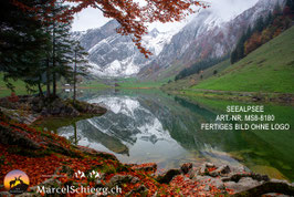 Leinwandbild-Seealpsee Art.-Nr. MS8-8180