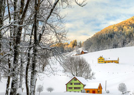 PK-Appenzellerland/Weissbad/Winterimpression-MZ7-3440