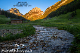 Leinwandbild-Sämtisersee Art.-Nr. MZ7-9926