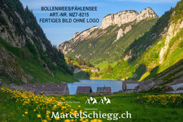 Poster/FineArt Print-Bollenwees/Fählensee Art.-Nr. MZ7-8215