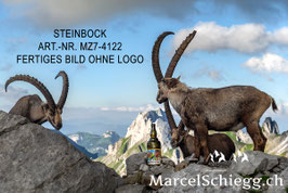 Leinwandbild-Steinbock Art.-Nr. MZ7-4122
