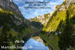 Poster/FineArt Print-Bollenwees/Fählensee Art.-Nr. MZ7-5125