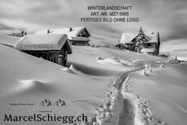 Leinwandbild-Winterlandschaft S/W Art.-Nr. MZ7-5865