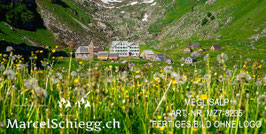 Leinwandbild-Meglisalp Art.-Nr. MZ7-8235