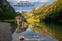 Leinwandbild-Seealpsee Art.-Nr. MS5-4318