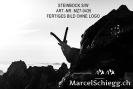 Alu-Dibond-FineArt-Steinbock S/W Art.-Nr. MZ7-0435