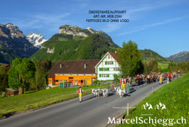 Leinwandbild-Öberefahre/Alpfahrt Art.-Nr. MS8-2244