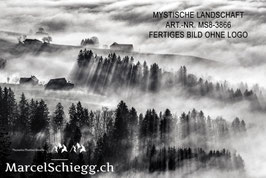 Leinwandbild-Mystische Landschaft S/W Art.-Nr. MS8-3866