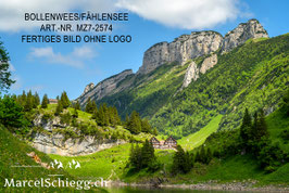 Leinwandbild-Bollenwees/Fählensee Art.-Nr. MZ7-2574