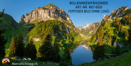 Leinwandbild-Bollenwees/Fählensee Art.-Nr. MZ7-6925
