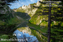 Alu-Dibond-FineArt-Bollenwees/Fählensee Art.-Nr. MZ7-5136