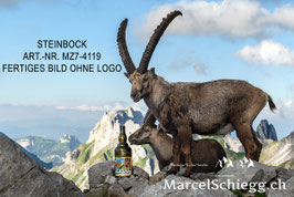 Leinwandbild-Steinbock Art.-Nr. MZ7-4119