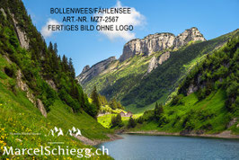 Leinwandbild-Bollenwees/Fählensee Art.-Nr. MZ7-2567