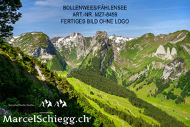 Leinwandbild-Bollenwees/Fählensee Art.-Nr. MZ7-8459