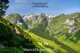 Bollenwees/Fählensee Art.-Nr. MZ7-8459