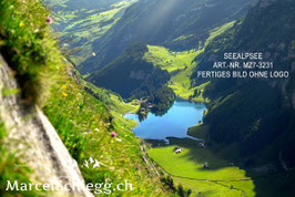 Alu-Dibond-FineArt-Seealpsee Art.-Nr. MZ7-3231