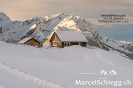 Leinwandbild-Winterimpressionen Art.-Nr. MS5-6705