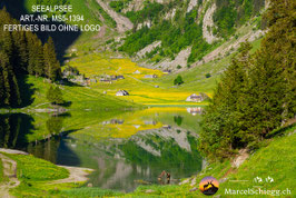 Leinwandbild-Seealpsee Art.-Nr. MS5-1394